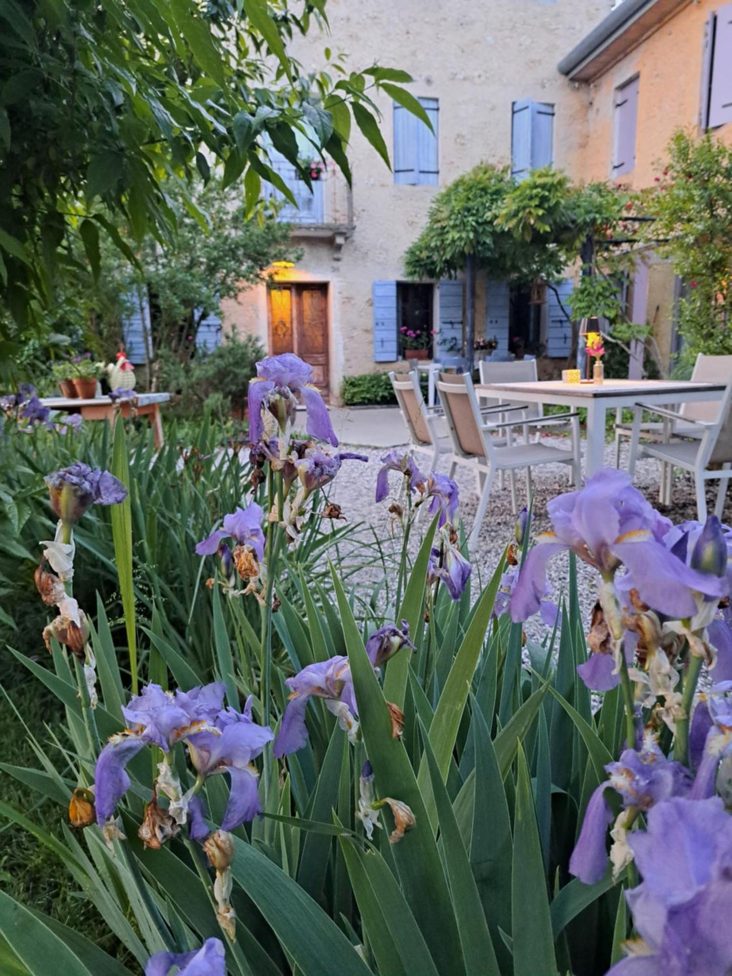 Casadesergio Refrontolo Екстериор снимка