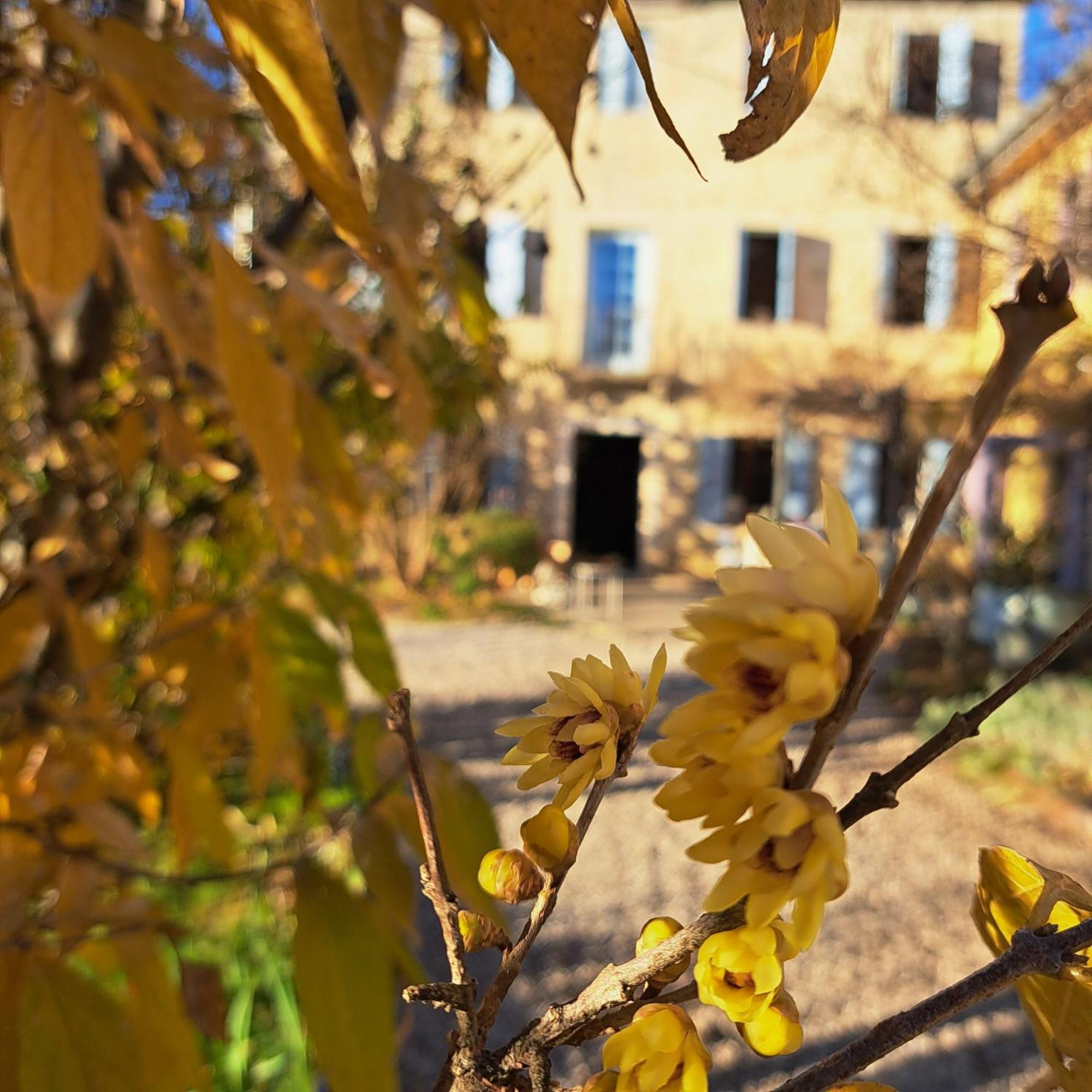 Casadesergio Refrontolo Екстериор снимка