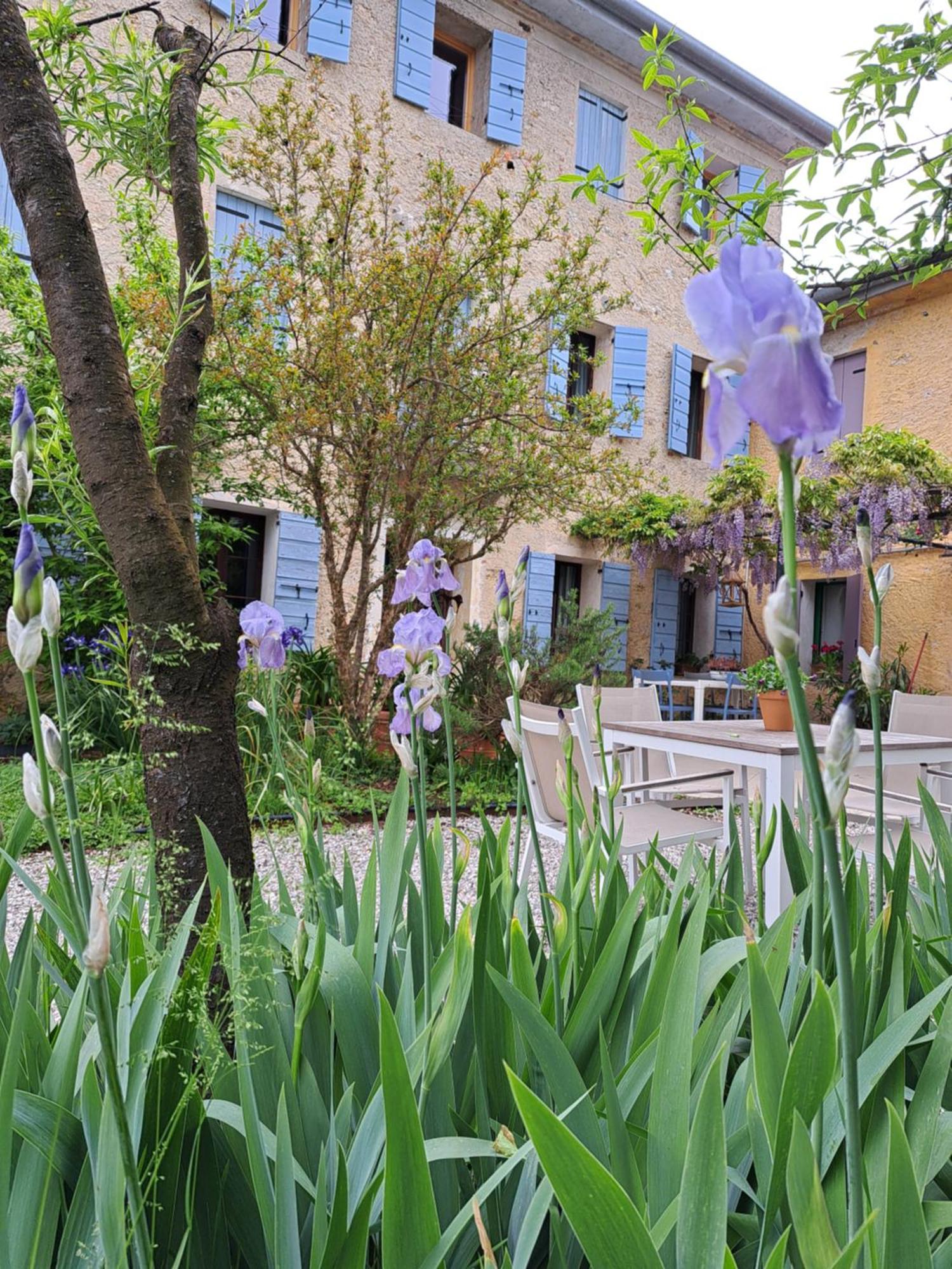 Casadesergio Refrontolo Екстериор снимка