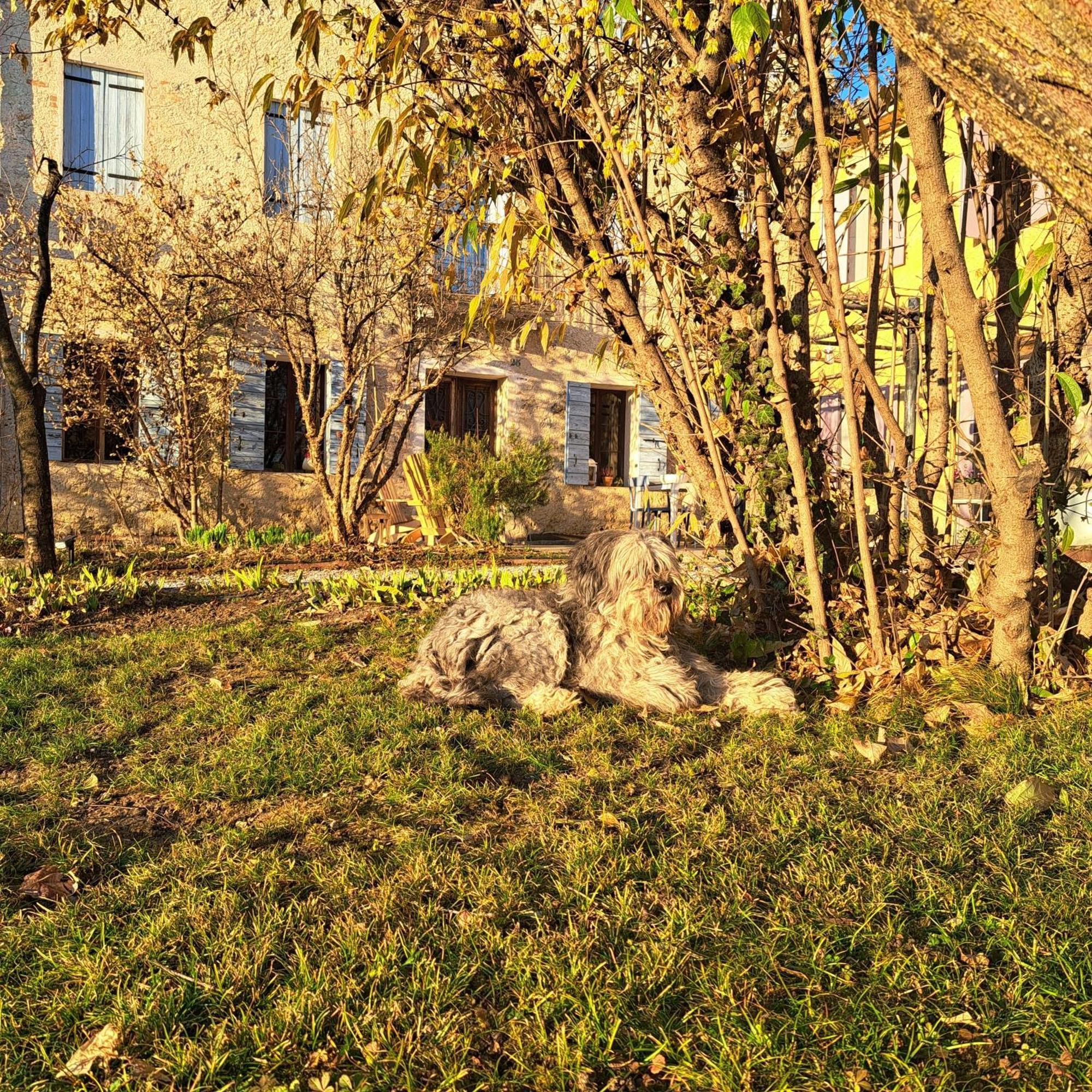 Casadesergio Refrontolo Екстериор снимка