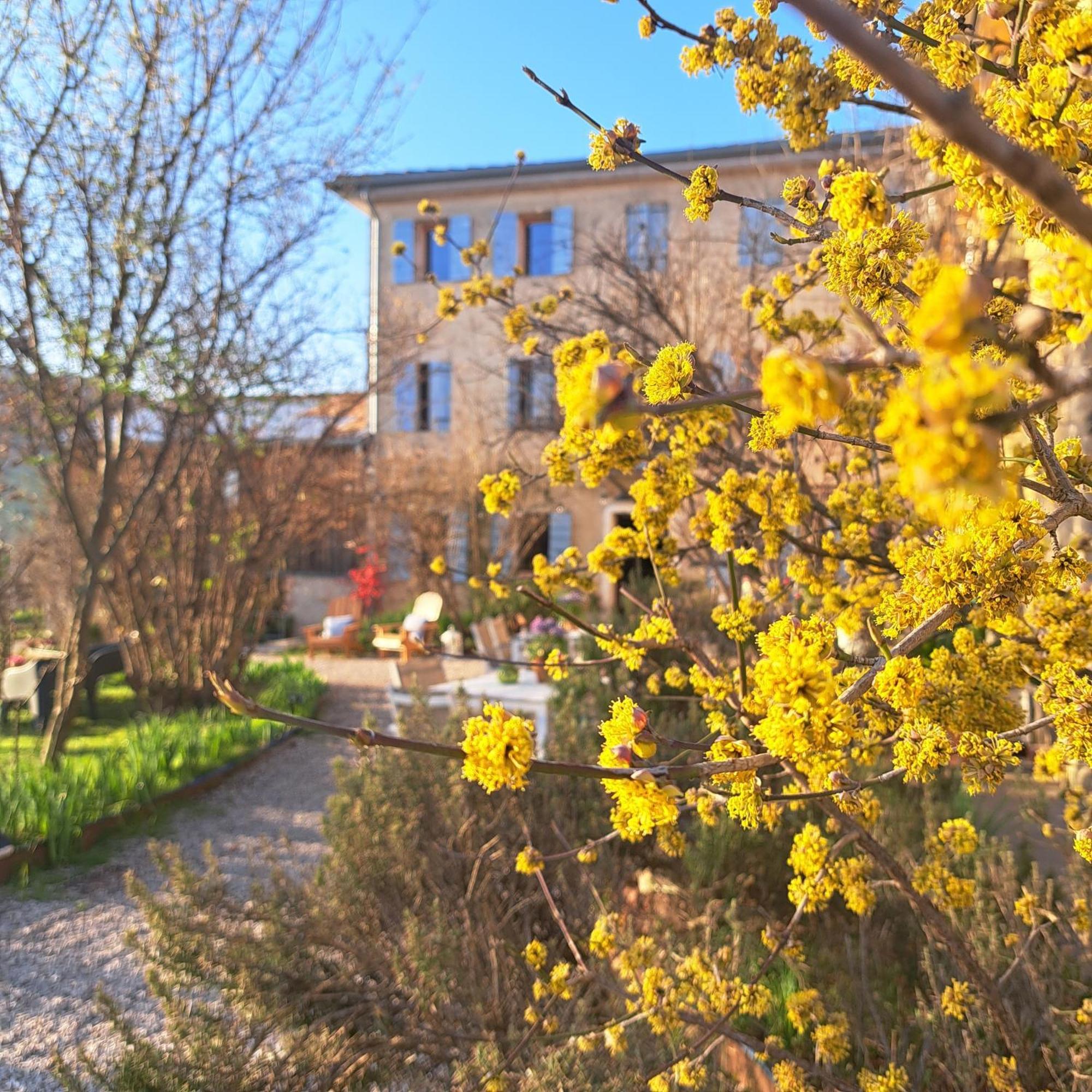 Casadesergio Refrontolo Екстериор снимка