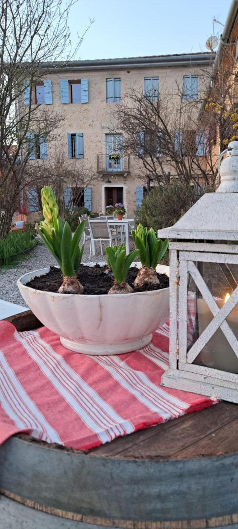 Casadesergio Refrontolo Екстериор снимка