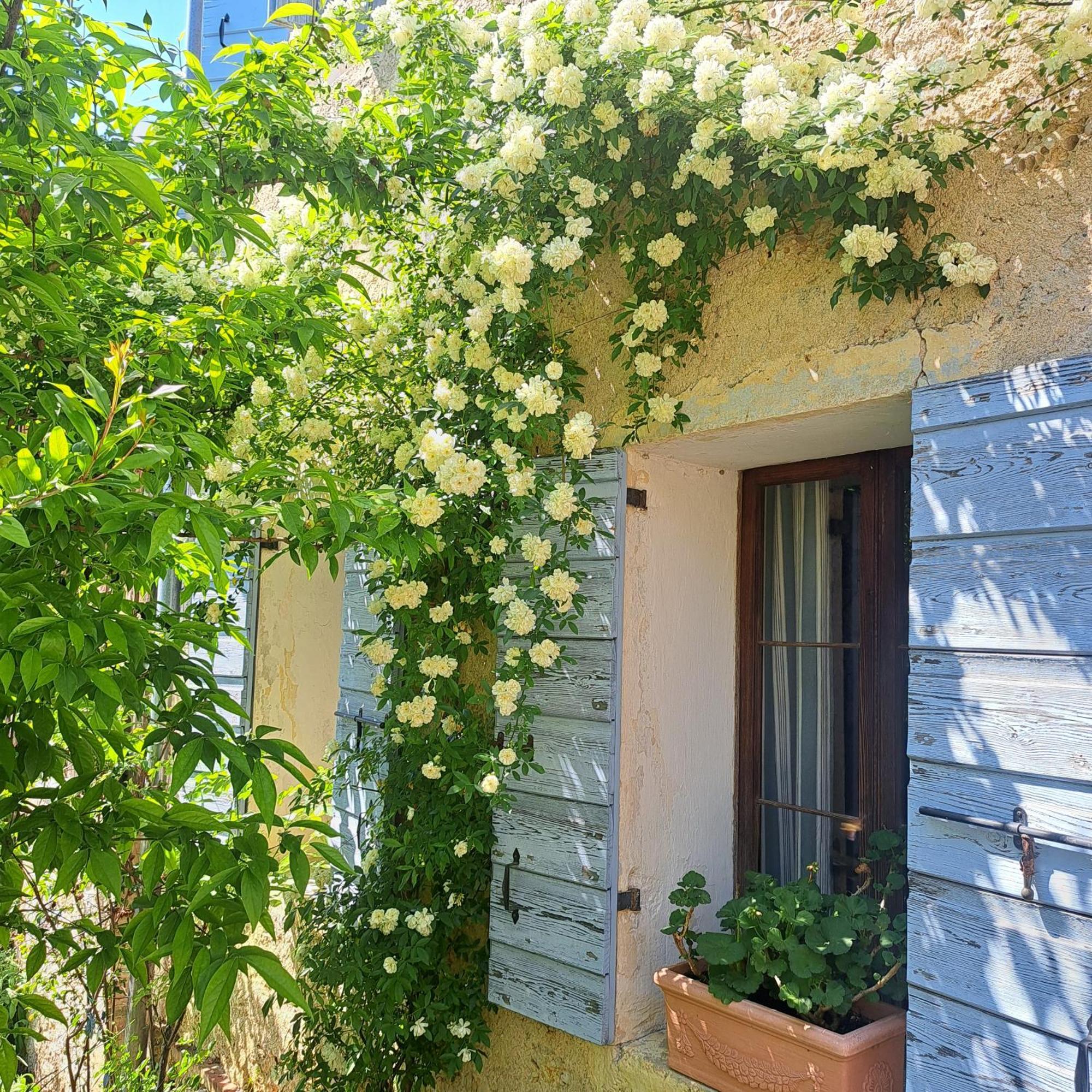 Casadesergio Refrontolo Екстериор снимка