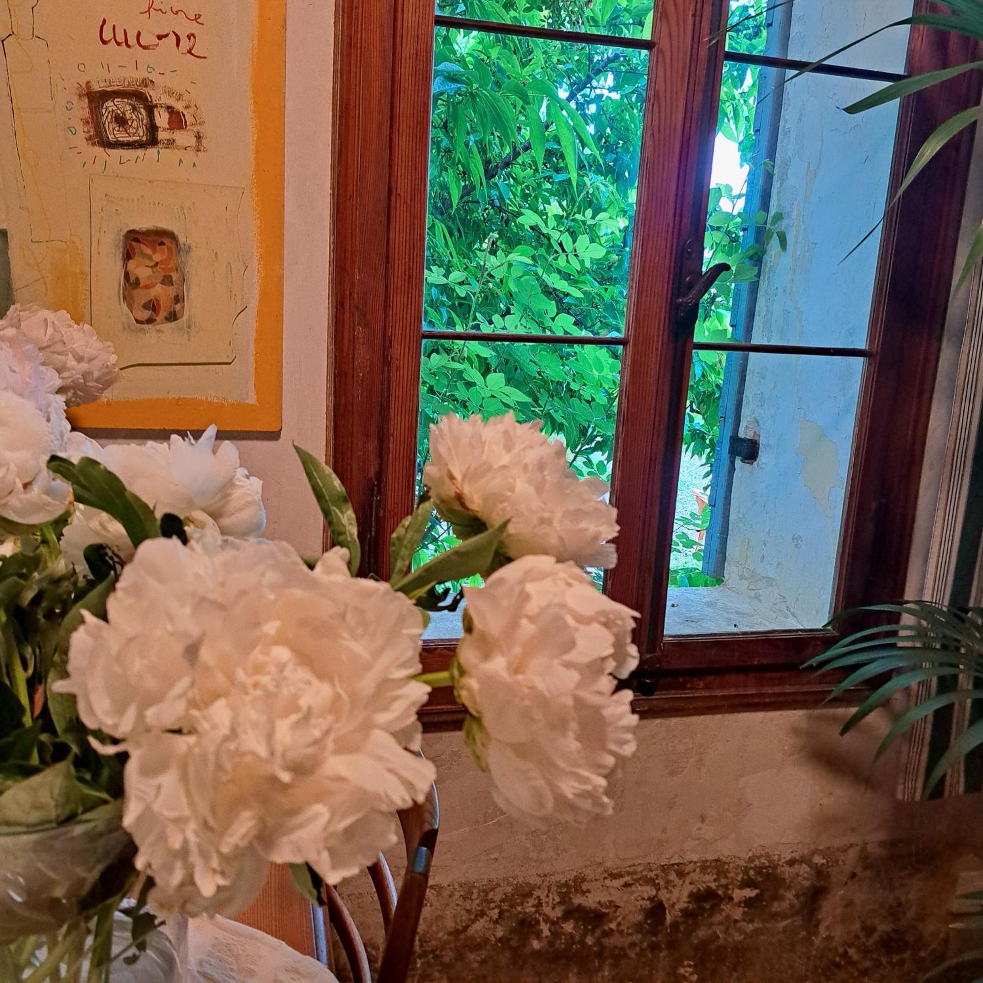 Casadesergio Refrontolo Екстериор снимка