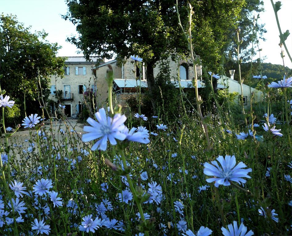 Casadesergio Refrontolo Екстериор снимка
